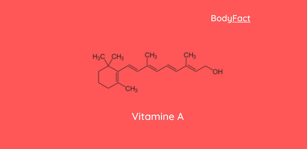 Alles over Vitamine A (Retinol)
