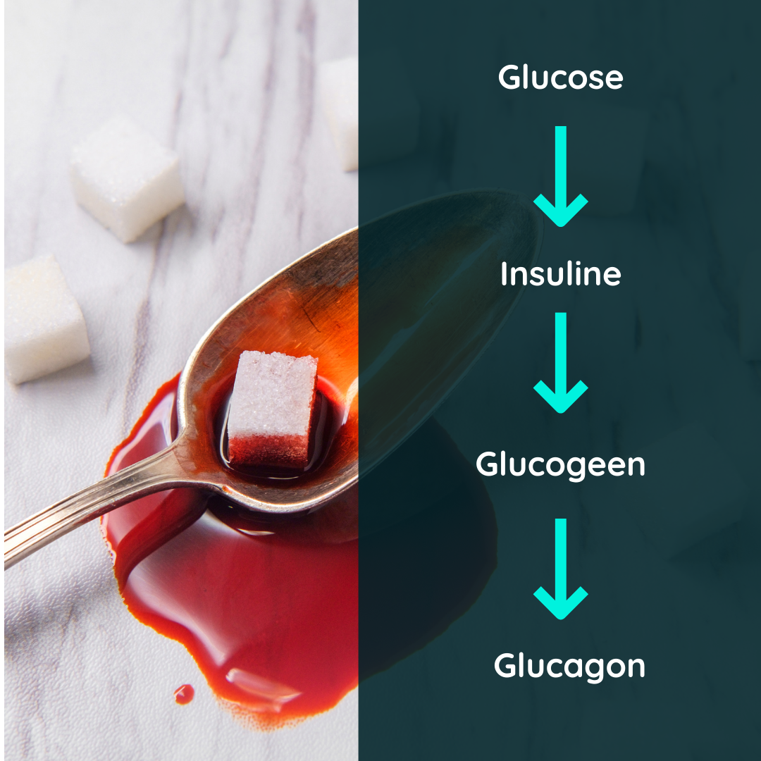 Lepel met daarop een suikerklontje en bloed er omheen. Daarnaast een schematisch overzicht met het proces waarin glucose wordt omgezet in insuline.