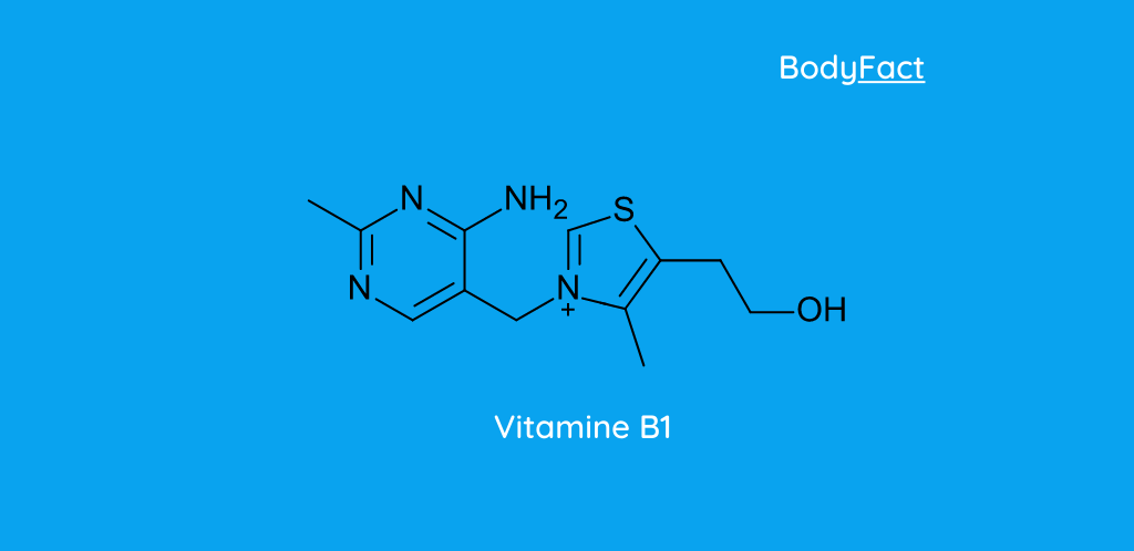 Alles over vitamine B1 (Thiamine)