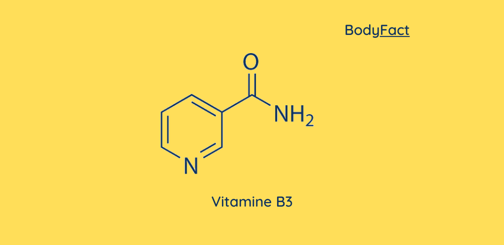 Alles over Vitamine B3 (Niacine)