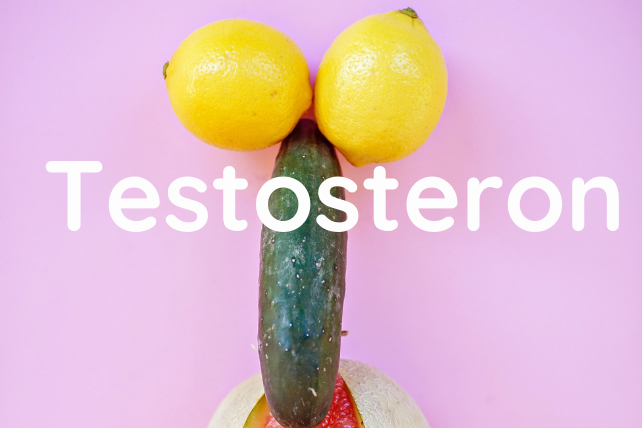 Alles over Testosteron