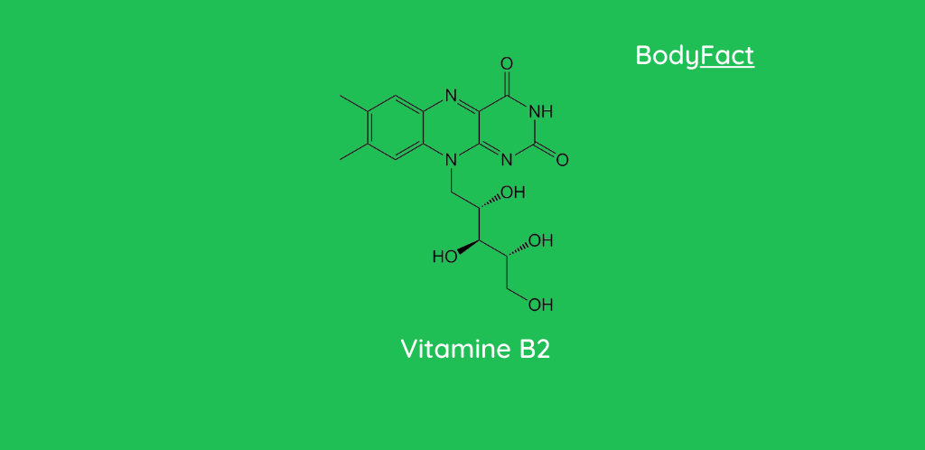 Alles over vitamine B2 (Riboflavine)