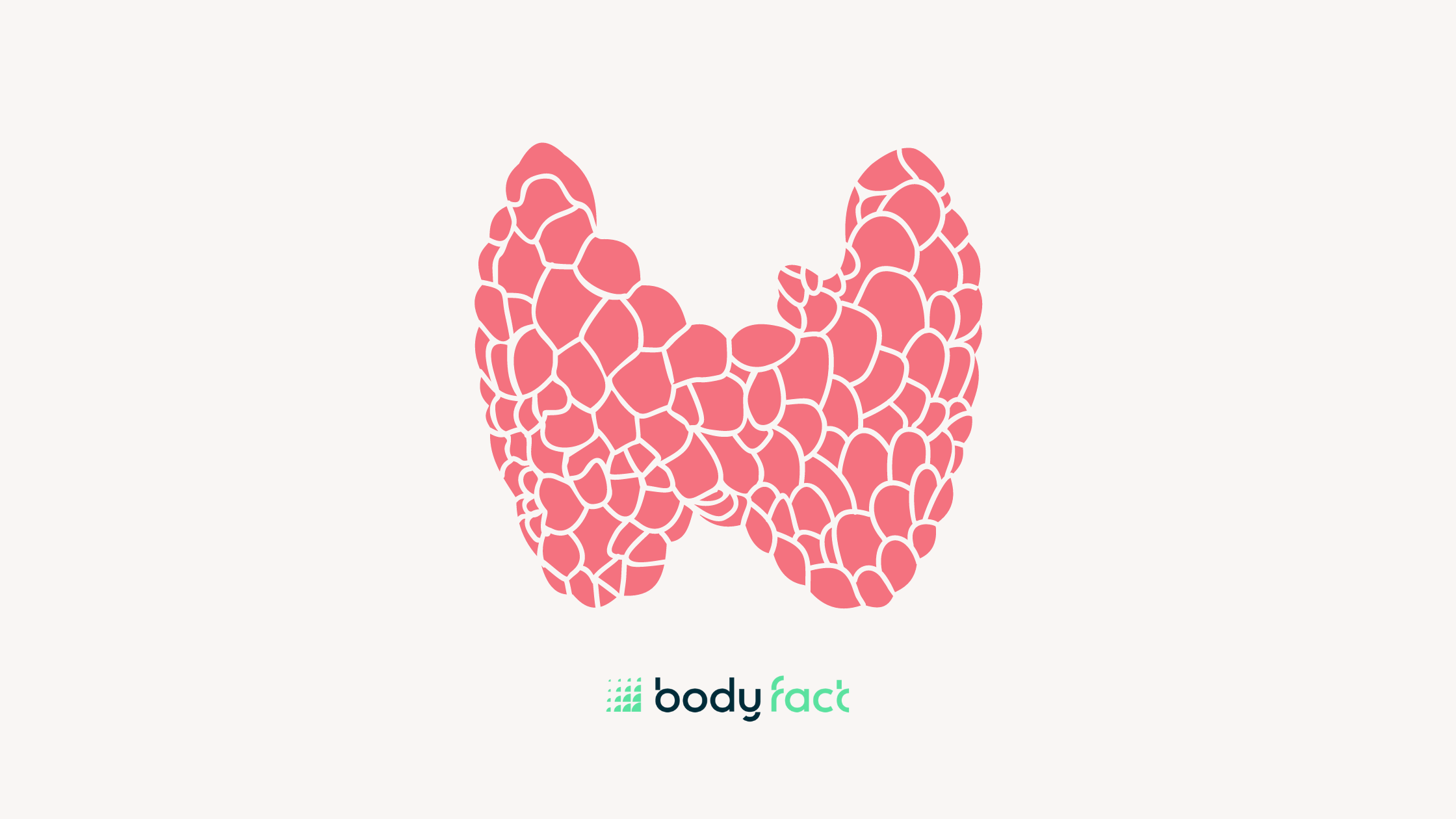 Alles over je schildklier | BodyFact