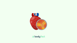 Alles over cholesterol